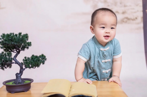 宜昌可爱的企鹅宝宝